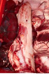 Photo Textures of Beef Viscera